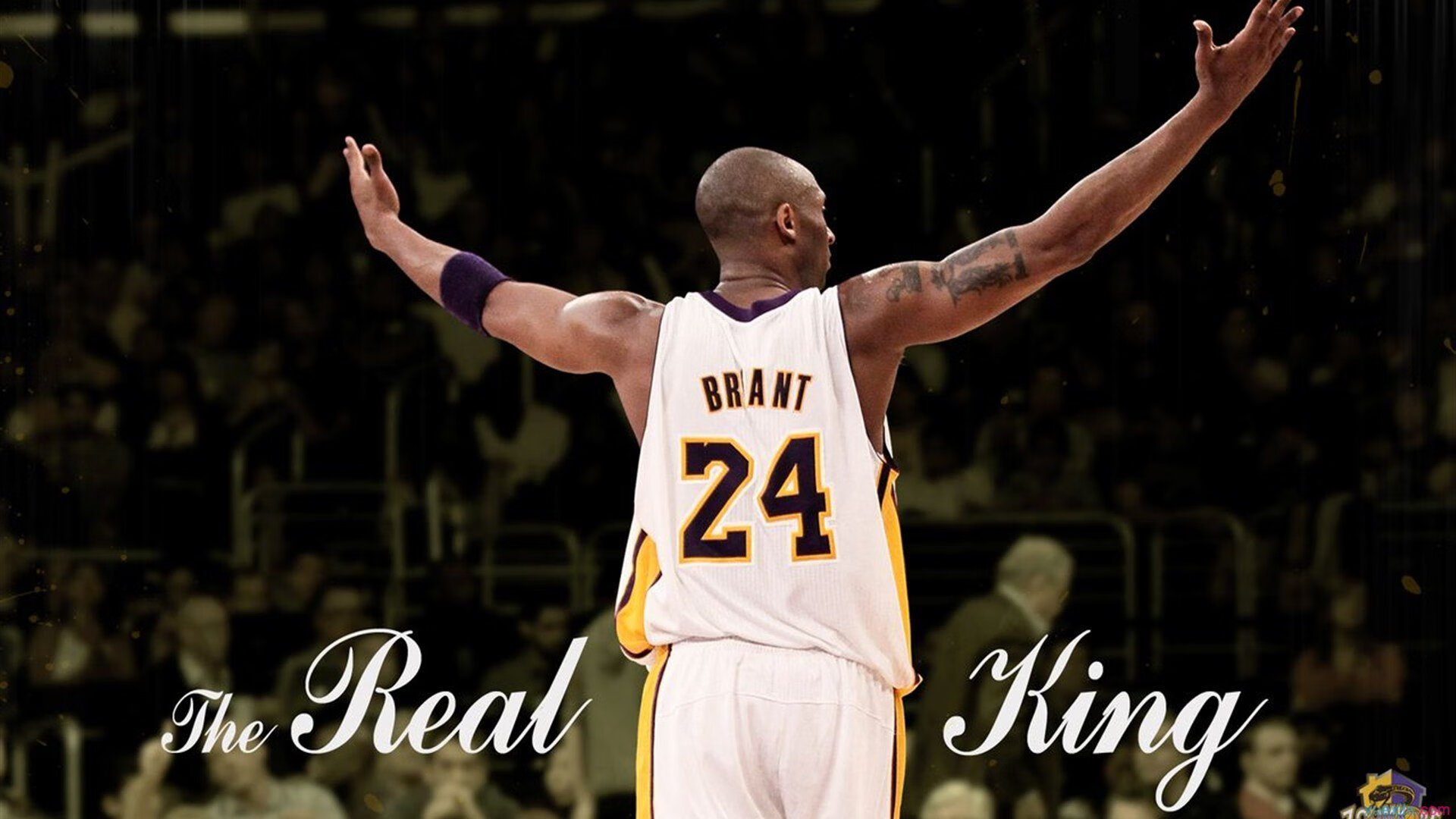 “福乐球决战开启，新都香城体育中心见证精彩”